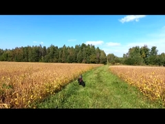 固定翼垂直無人機 監視用無人機 地図作成 農業用工業用航空機